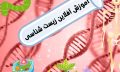 Your paragraph text